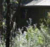 Twin Falls Bush Cottages - Accommodation Nelson Bay