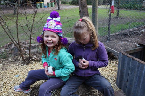 Fernleigh Farmstay & Bike Park - Accommodation Nelson Bay 3