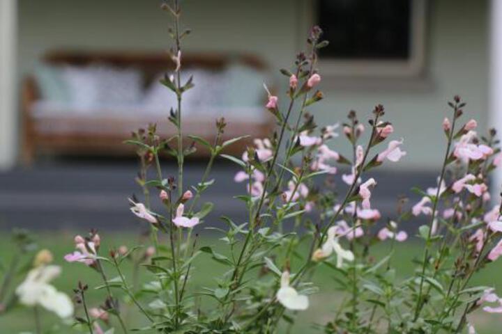 Lostock ACT Accommodation Nelson Bay