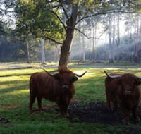 Dingley Dell - Accommodation Nelson Bay