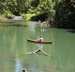Figtree Getaway - Accommodation Nelson Bay