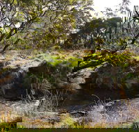 Green Gully House - Accommodation Nelson Bay