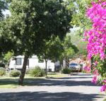 BIG 4 Hay - Accommodation Nelson Bay