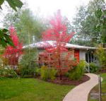 Dalrymples Guest Cottages - Accommodation Nelson Bay