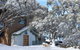 Alpine Retreat Mt Buller - thumb 1