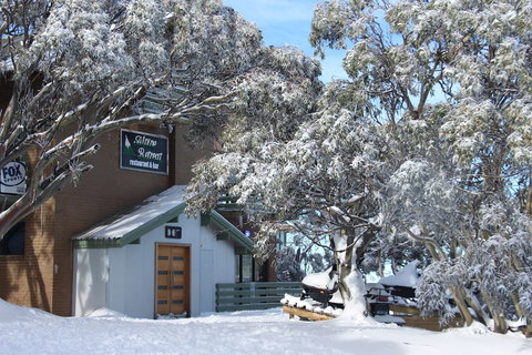 Alpine Retreat Mt Buller - Accommodation Nelson Bay 1