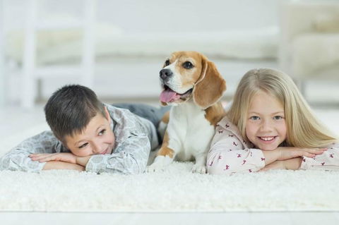 BOUTIQUE STAYS - Roxys Place - Accommodation Nelson Bay 4