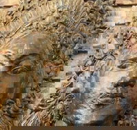 Ballina Palms Boutique Motel - Accommodation Nelson Bay