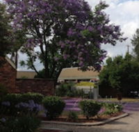 Belvoir Village Motel  Apartments Wodonga - Accommodation Nelson Bay