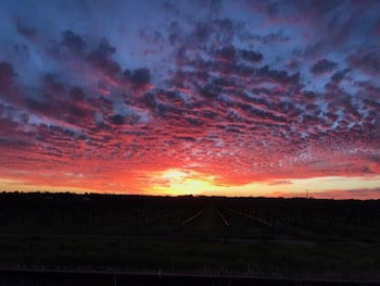 Barossa House - Accommodation Nelson Bay 4