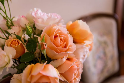 Barossa House - Accommodation Nelson Bay 0