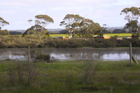 Seal Bay Cottages - Accommodation Nelson Bay 5