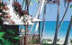 Ellis Beach Oceanfront Bungalows - Campground - thumb 5