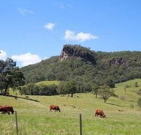 Rosevale House - Accommodation Nelson Bay