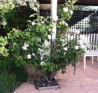 Ellesmere House - Accommodation Nelson Bay