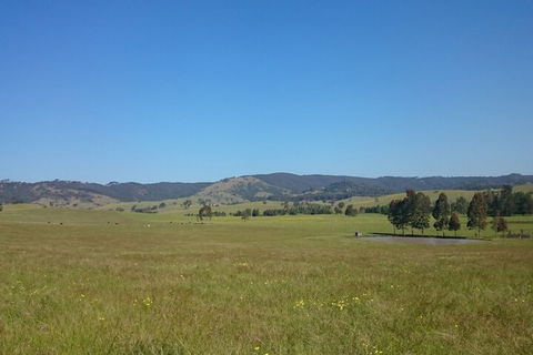 The Wattle Lodge - Accommodation Nelson Bay 4