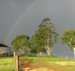 CBR Equine Cottage - Accommodation Nelson Bay