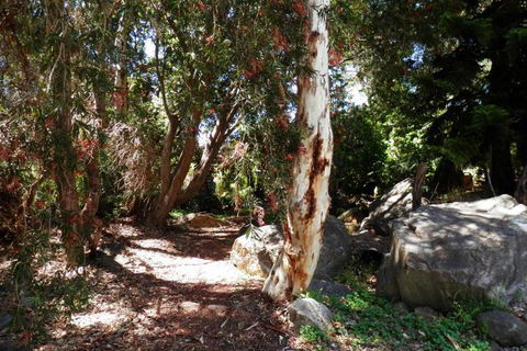 The Hideaway Luxury B & B Retreat - Accommodation Nelson Bay 6
