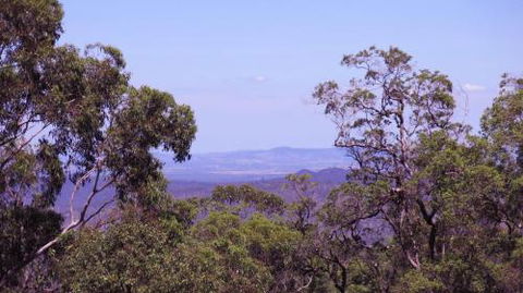 Ravensbourne Escape Cedar Lodge - Accommodation Nelson Bay 5