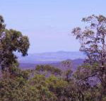 Ravensbourne Escape Cedar Lodge - Accommodation Nelson Bay
