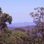 Ravensbourne Escape Cedar Lodge - Accommodation Nelson Bay 0