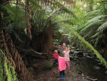12 Apostles Cottages - Accommodation Nelson Bay 0