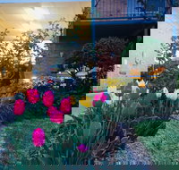 The Vines Motel and Cottages