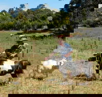 Country Cottages of Bridgetown - Accommodation Nelson Bay