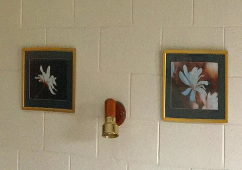 Milawa Motel - Accommodation Nelson Bay 2