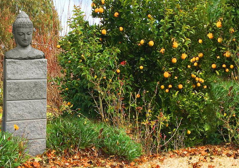 Milawa Motel - Accommodation Nelson Bay 5