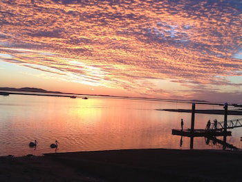 Sunbird Gardens - Accommodation Nelson Bay 4