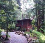 Black Palm Cape Tribulation - Accommodation Nelson Bay