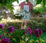 A Country Barn Retreat - Accommodation Nelson Bay