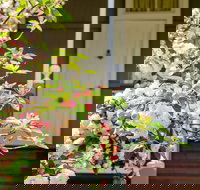 Apple Blossom Cottage