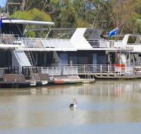 Murray Bridge Caravan Park - Accommodation Nelson Bay