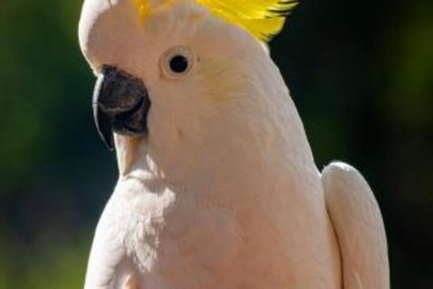 Jugoon - Accommodation Nelson Bay 3