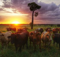 Myella Farm Stay - Nelson Bay Accommodation.com