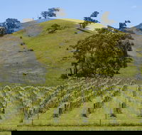 Blue House at Mountainside Wines - Nelson Bay Accommodation.com