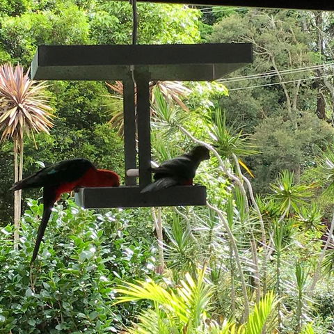 PK Illusions - Accommodation Nelson Bay 3