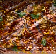 Pizza D'oh - Accommodation Nelson Bay