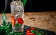 Thyme Cafe - thumb 0
