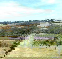 Main Ridge Harvest - Nelson Bay Accommodation.com