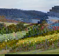 De Bortoli Winery  Restaurant - Accommodation Nelson Bay