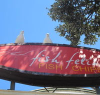 Fish Fetish - Nelson Bay Accommodation.com