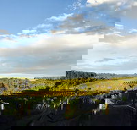 Rare Hare at Willow Creek Vineyard - Nelson Bay Accommodation.com