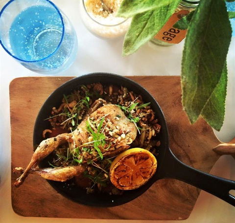 H2O Restaurant & Bar - Accommodation Nelson Bay 10