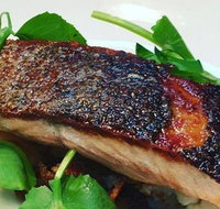 The Shaggy Cow - Accommodation Nelson Bay