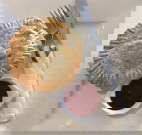 24 Karat Cafe - Accommodation Nelson Bay