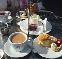 The Pelican Cafe - Nelson Bay Accommodation.com