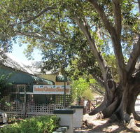 The Season Tree - Accommodation Nelson Bay